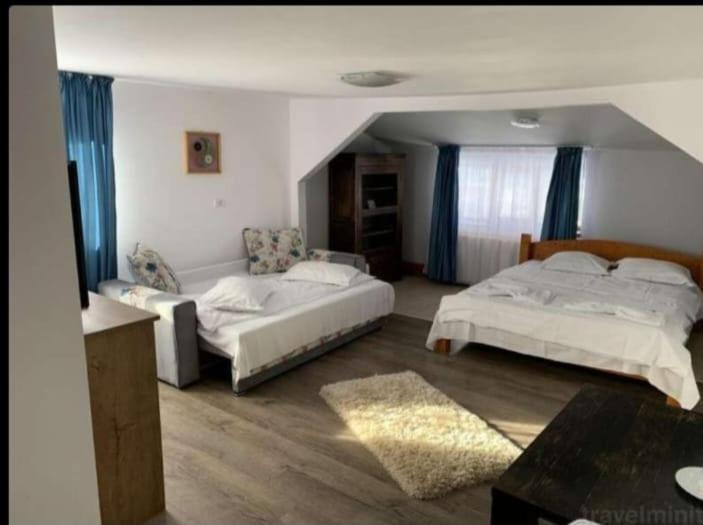 Cabana Restaurant Terra Rânca Pokój zdjęcie